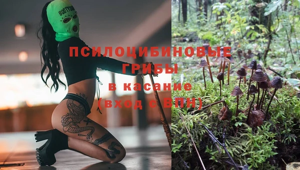 a pvp Бугульма